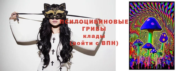 дмт Гусев