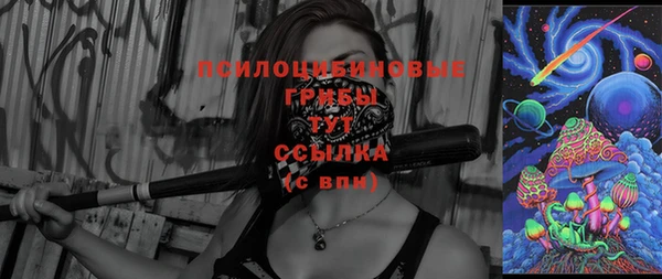 ГАЛЛЮЦИНОГЕННЫЕ ГРИБЫ Гусиноозёрск
