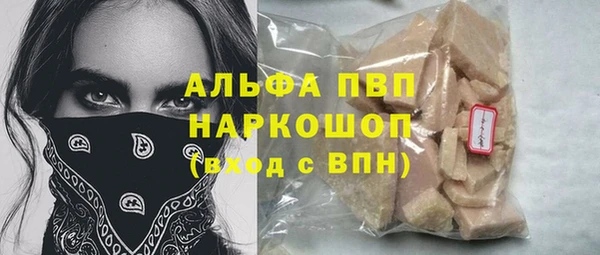 дмт Гусев