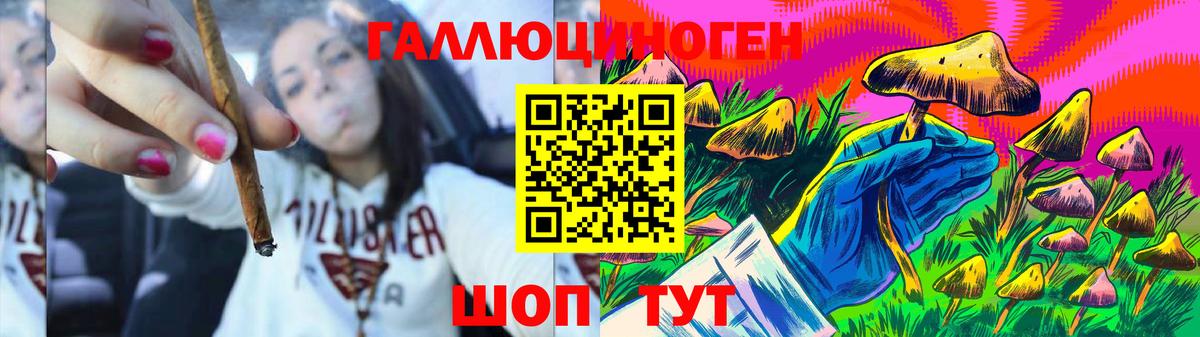 Галлюциногенные грибы Magic Shrooms  Псилоцибиновые грибы Magic Shrooms  Нурлат  Вход с VPN 